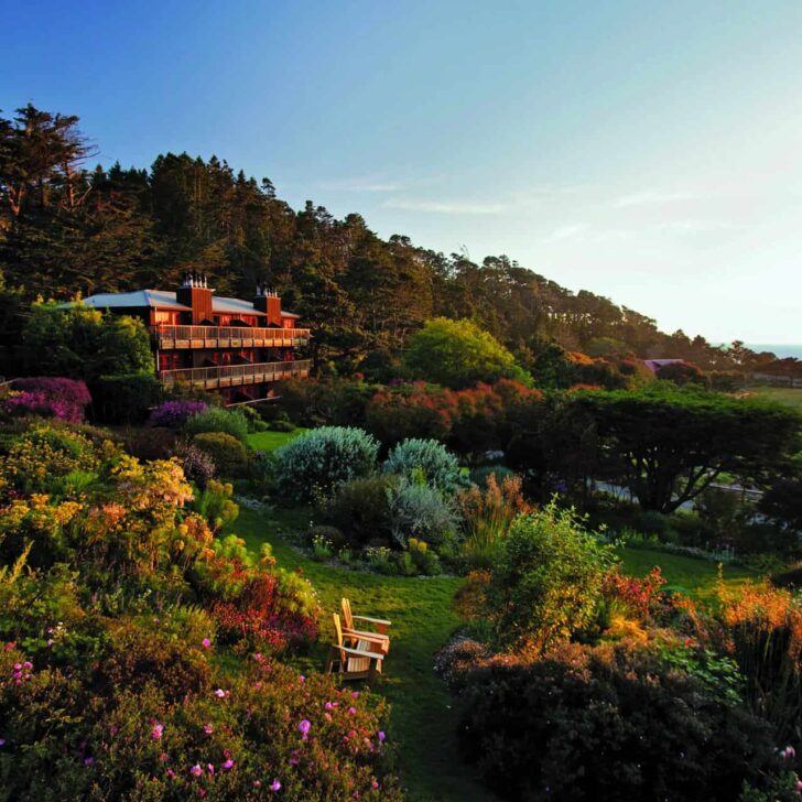 The Best Fully Vegan Hotels Around the World