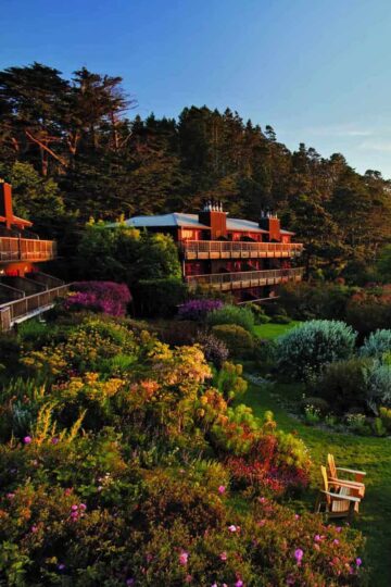 vegan hotels near me