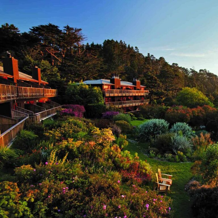 vegan hotels near me