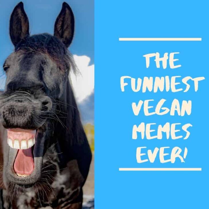 21 of the Funniest Vegan Memes Ever!