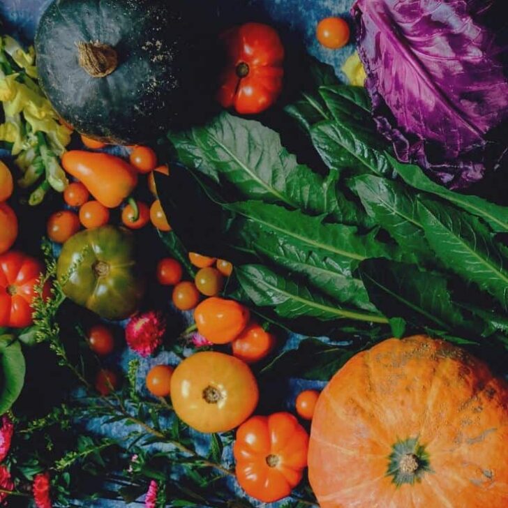 The Lowdown On Vegan Farts | What helps with increased Vegan Gas?