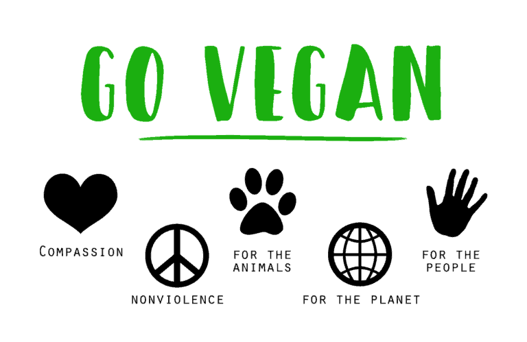 get-your-veganuary-meal-plan-yum-vegan-blog