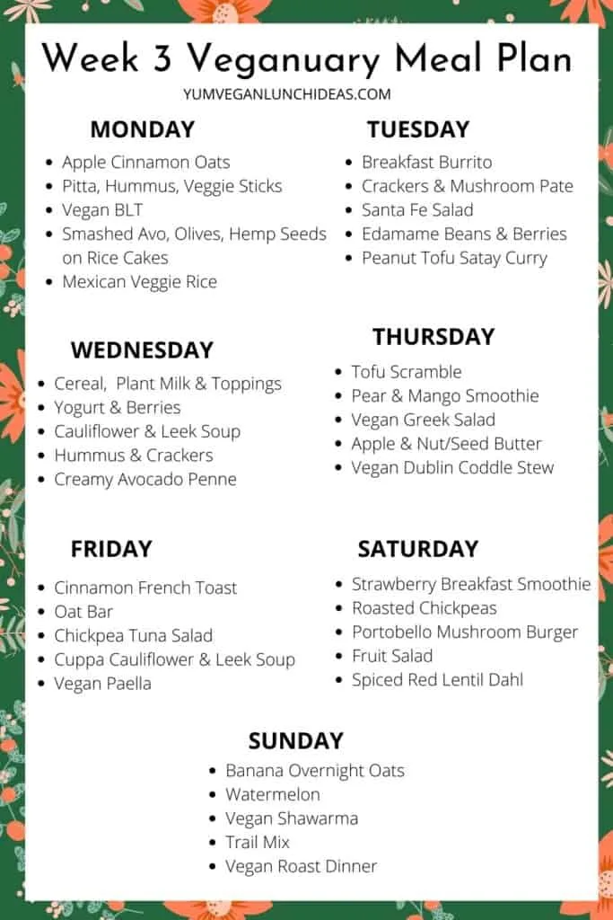 vegan meal plans for families