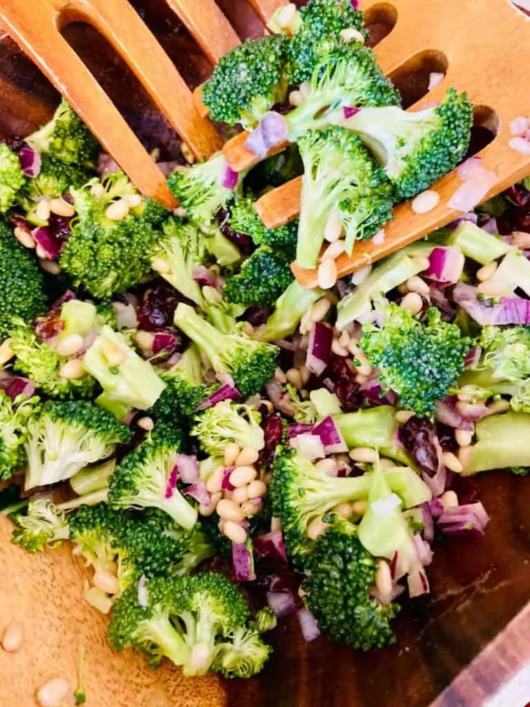 Healthy Broccoli Salad - Vegetarian Broccoli Recipes