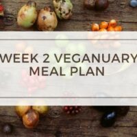 vegan meal plan
