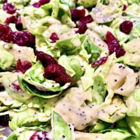vegan brussel sprout salad 2