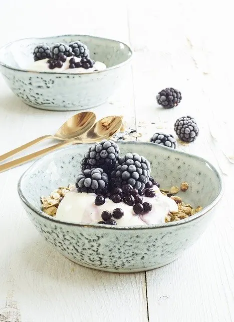 Easy Vegan Meal Plan - Granola and Yoghurt