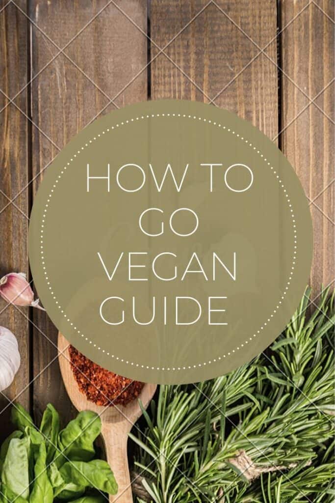 how to transition to vegan 