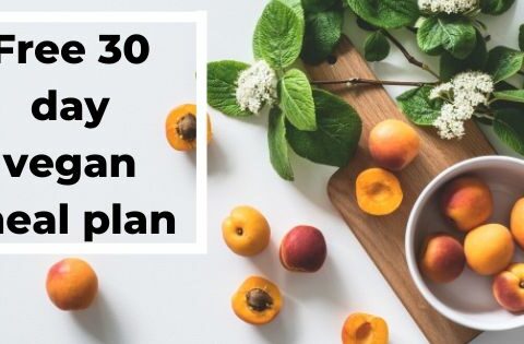 Get Your Free 30 Day Easy Vegan Meal Plan