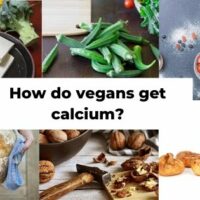 vegan diet calcium