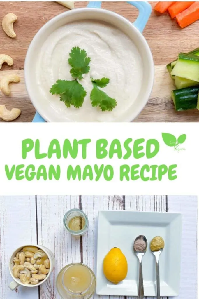 Plant Based Mayo Recipe The Best Vegan Mayo No Oil Recipe