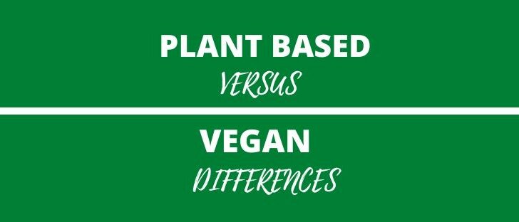 Plant Based V Vegan Differences