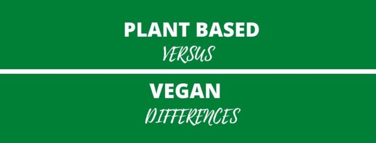 PLANT BASED V VEGAN