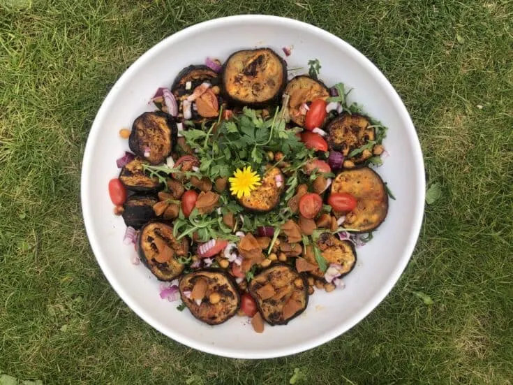 BBQ Moroccan Eggplant Salad 