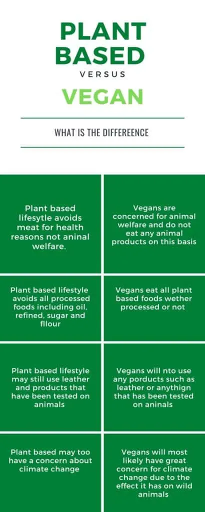 What's The Difference Between Plant Based and Vegan?