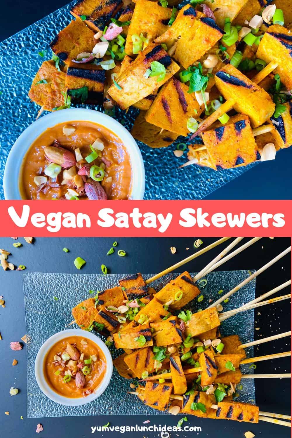 Seitan Satay Vegan Satay Skewers with Peanut Sauce Yum Vegan Blog