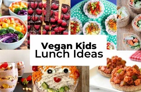 Vegan Kids Lunch Ideas | Kids Vegan Lunches
