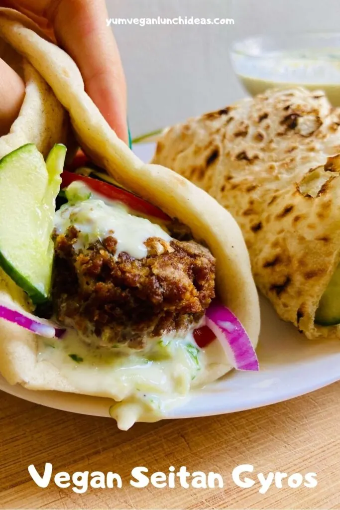 vegan gyro seitan pin