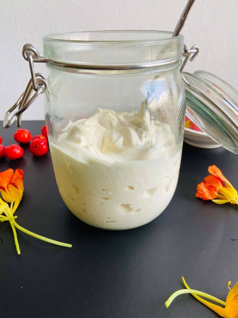 Griechischer Joghurt vegan