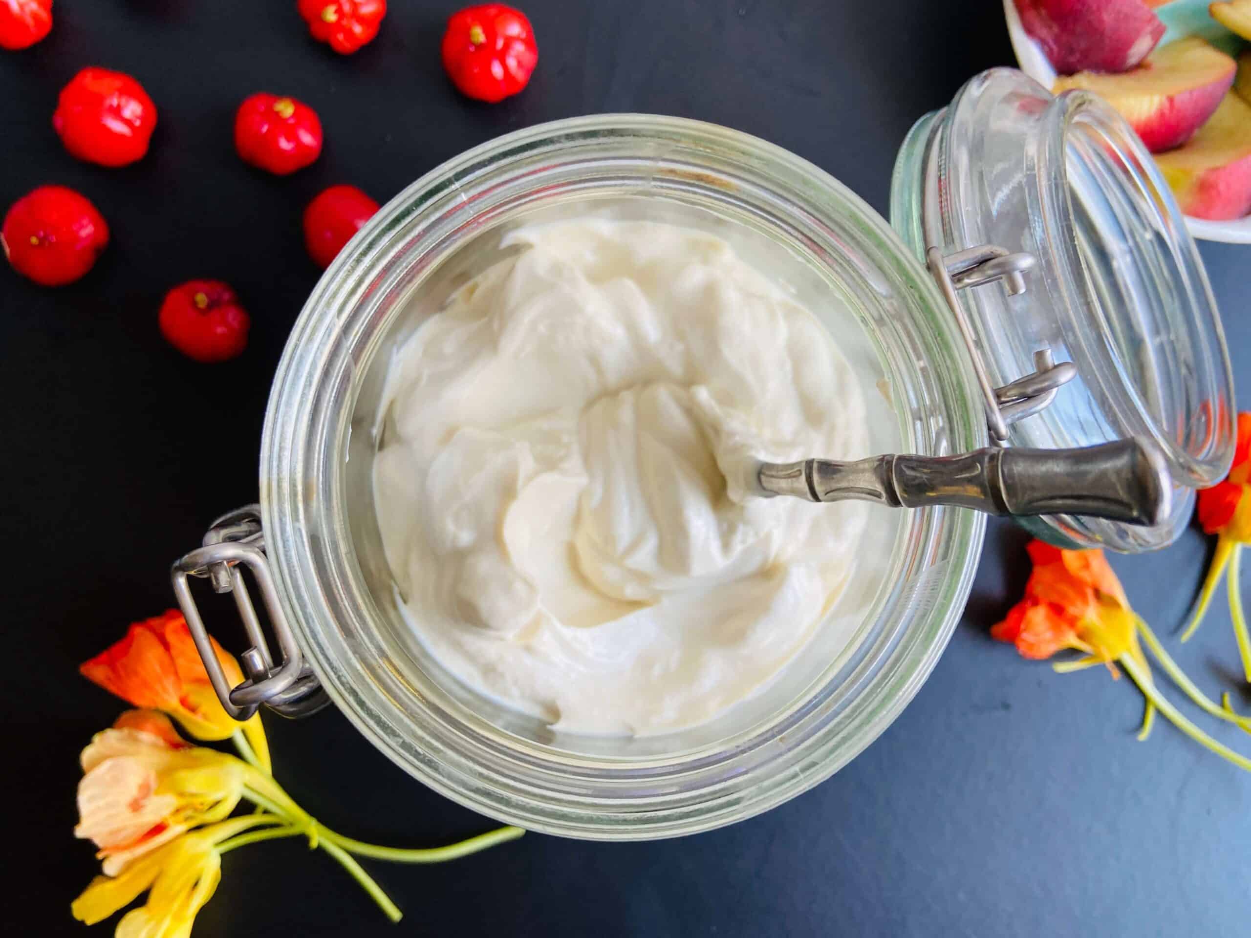 Homemade Soy Greek Yogurt | Vegan Greek Yogurt