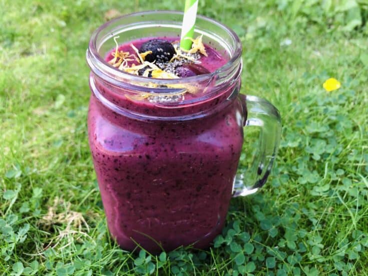 Tasty Pear Blueberry Smoothie | Vegan Smoothie Recipes