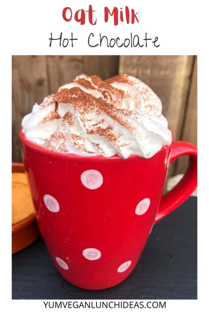 VEGAN HOT COCOA