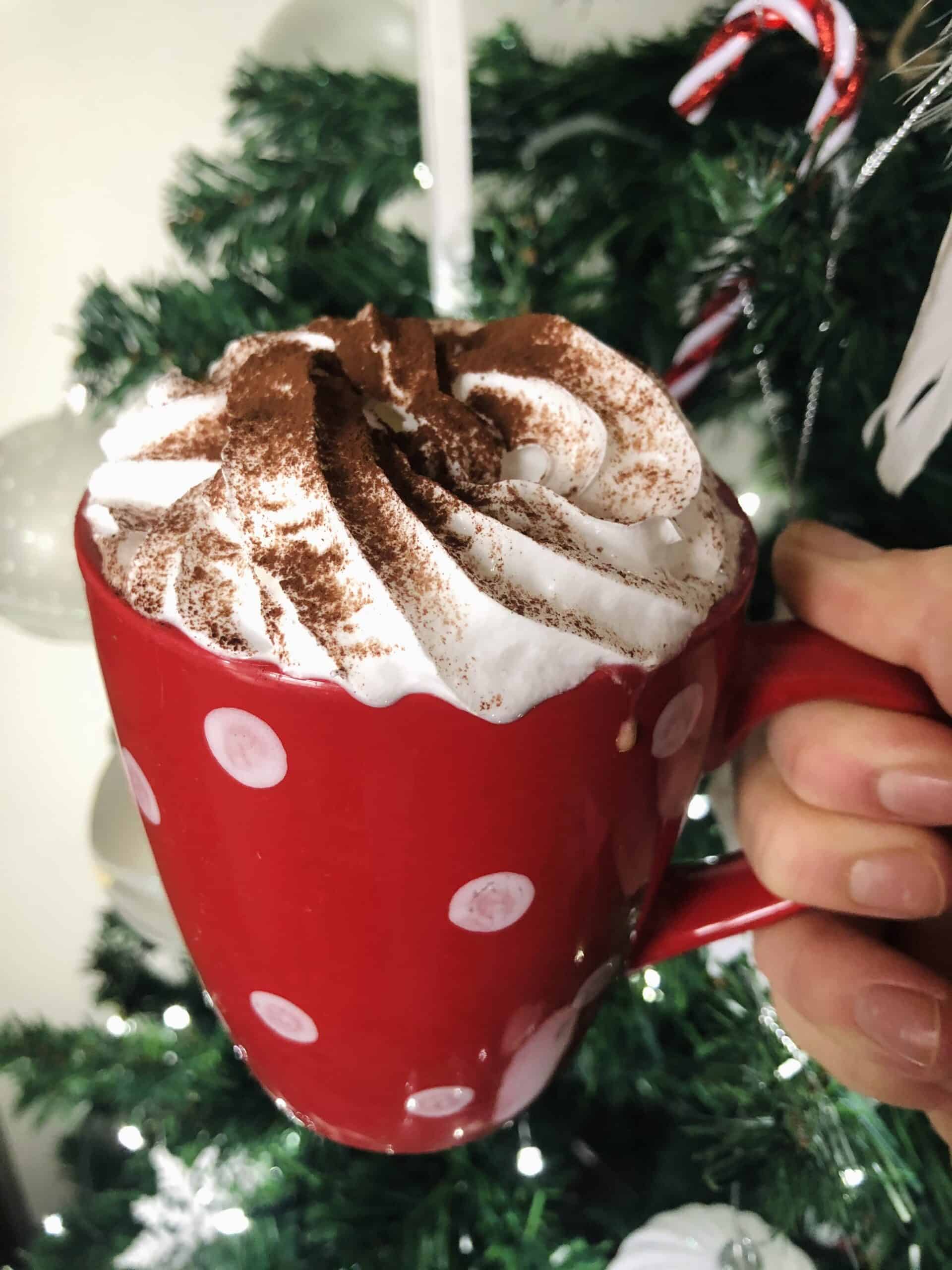 Delicious & Decadent Vegan Oat Milk Hot Chocolate Recipe
