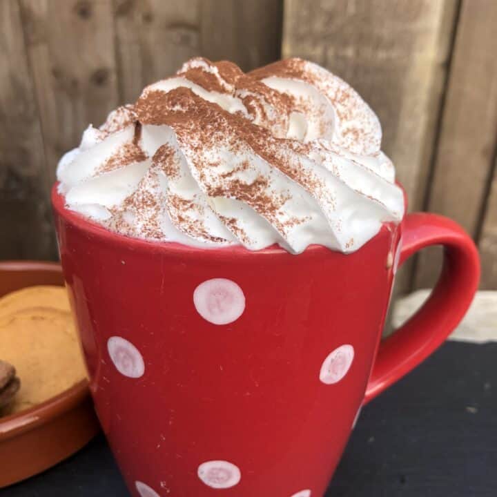 Delicious Oat Milk Hot Chocolate