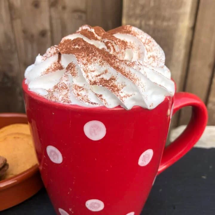 Delicious Oat Milk Hot Chocolate