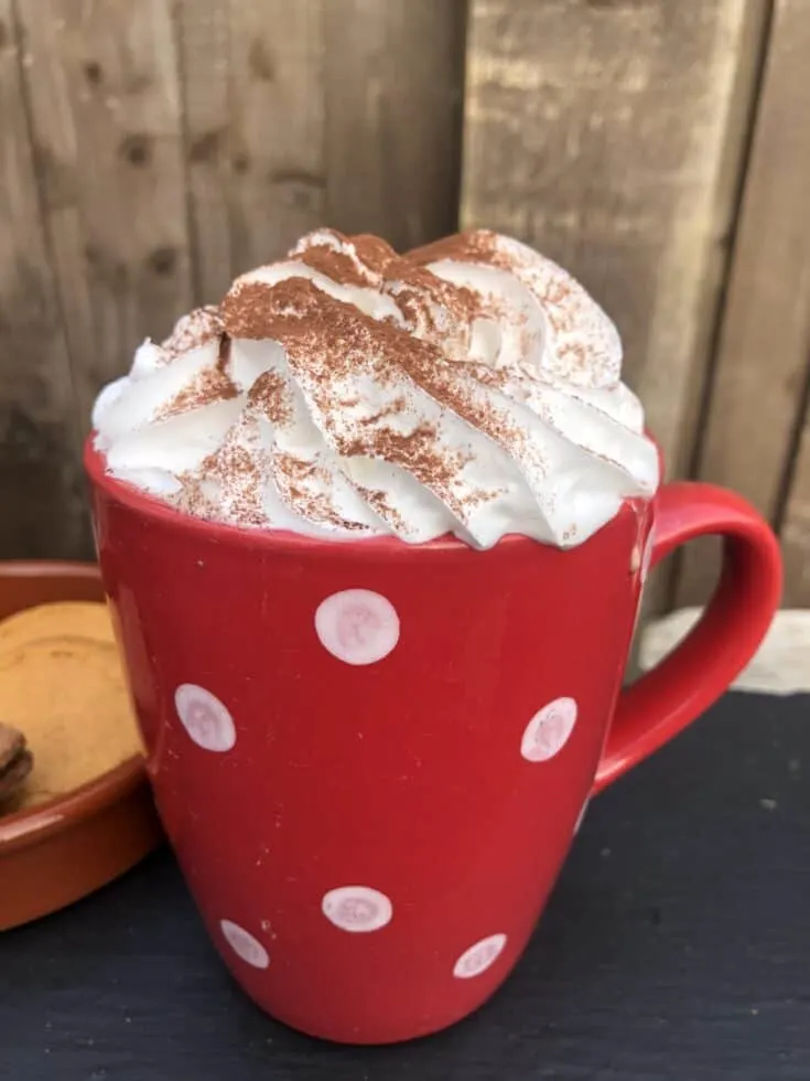 Delicious Oat Milk Hot Chocolate