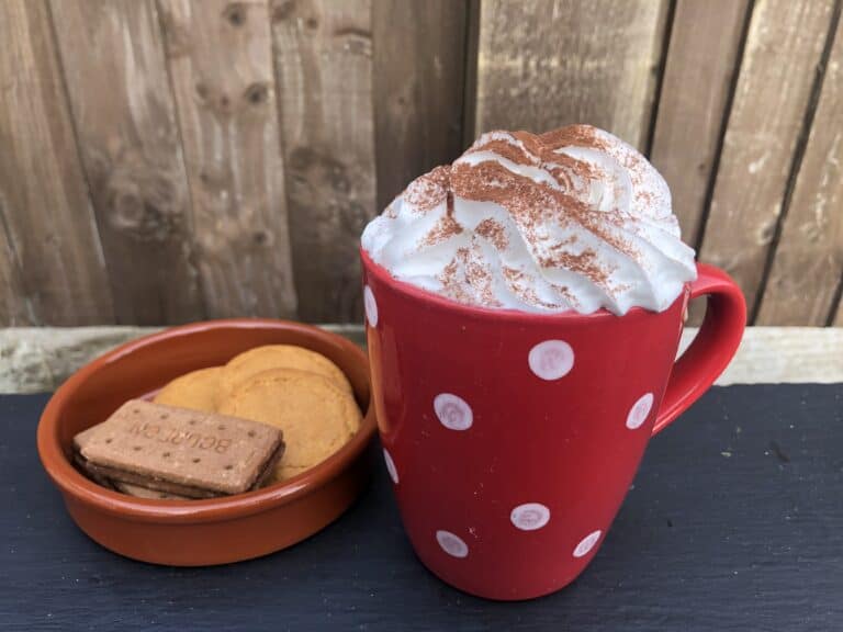 Delicious & Decadent Vegan Oat Milk Hot Chocolate Recipe