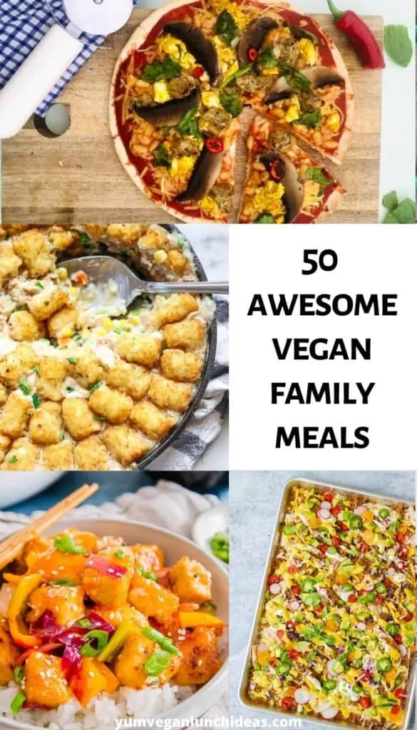 vegan family meals pin