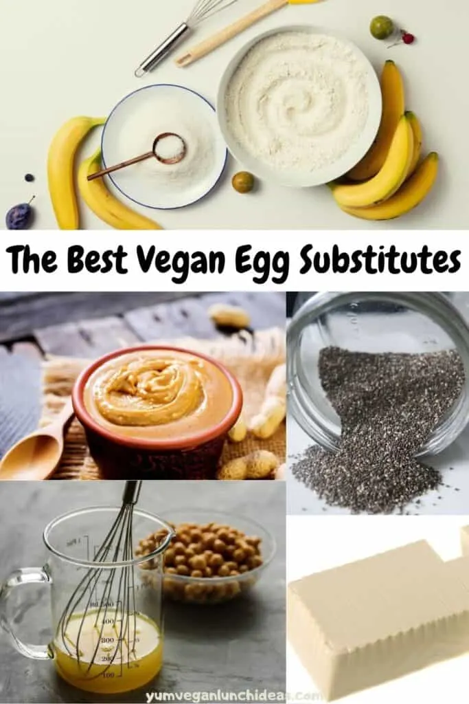 vegan egg substitute pin
