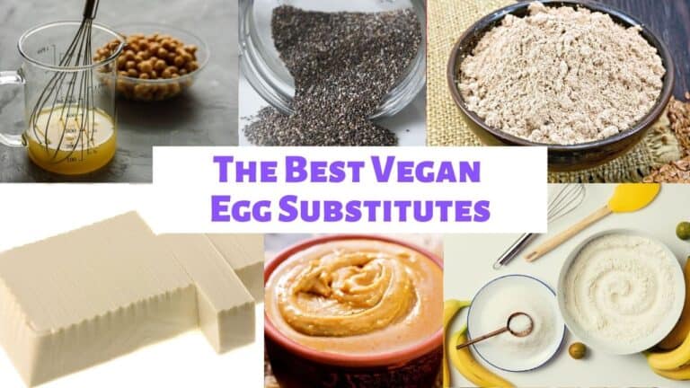 vegan egg substitutes cover