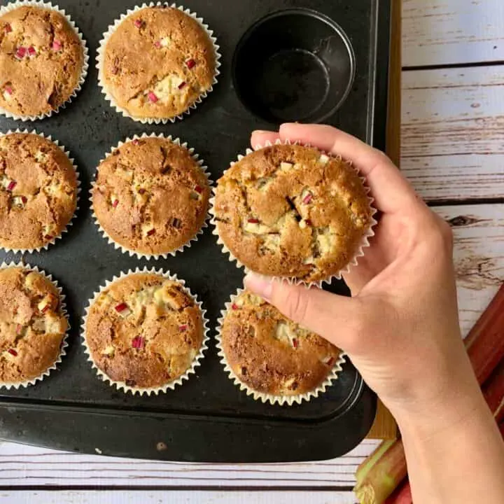 buckwheat rhubarb muffins