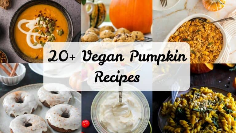 vegan pumpkin recipes